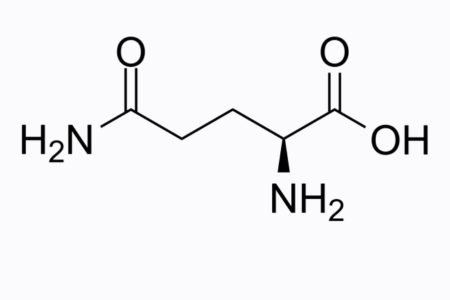 グルタミンと巨根は関係なさそうだけど実は非常に重要なアミノ酸！